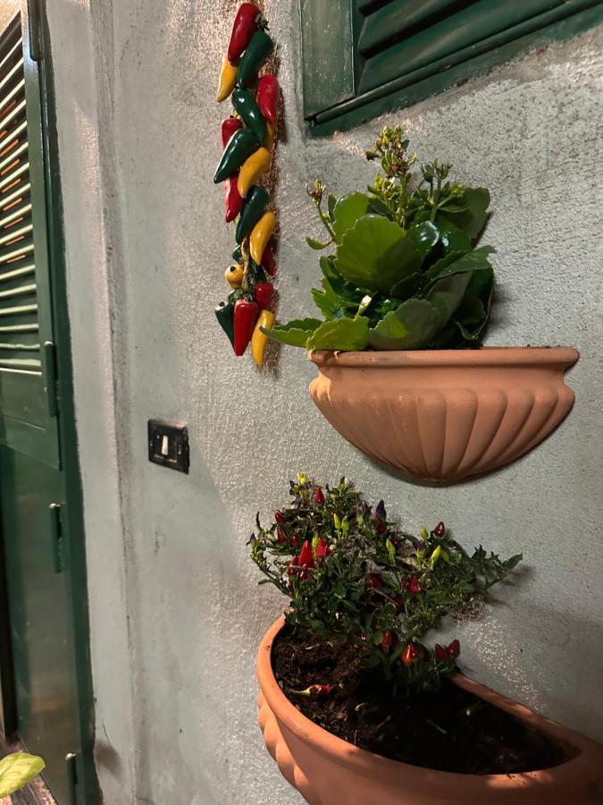 Tiny House - Spaccanapoli Apartment Exterior photo